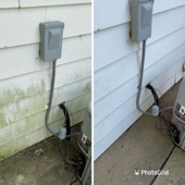 Green mold removal